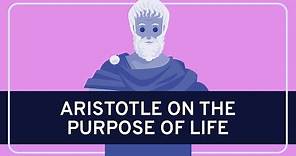 PHILOSOPHY - History: Aristotle on the Purpose of Life [HD]