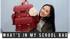 我的书包里有什么 | 平时上课带什么 | What’s in my school bag | 新书包 | 荷兰留学 | Elena Lin |