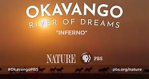 Nature:Okavango: River of Dreams - Inferno - Preview Season 38 Episode 6