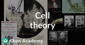 Cell theory | The cellular basis of life | High school biology | Khan Academy