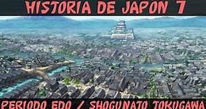 Historia de JAPÓN 7: Japón Feudal - Periodo Edo / Shogunato Tokugawa (Documental Historia)