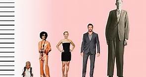 How Tall Is Prince? - Celebrity Height Comparison!