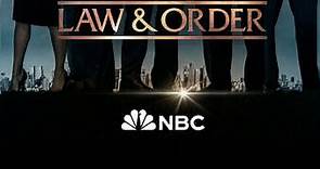 Law & Order: Season 22 Episode 7 Only the Lonely