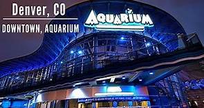 Denver CO, Downtown Aquarium WALK THROUGH !!! | CuriousTravels TV🐠 🐟 🦈🐡
