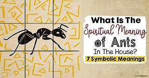 7 Spiritual Meanings Of Finding Ants In Your Home