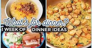EASY FAMILY DINNER IDEAS | WHAT'S FOR DINNER? #305 | 7 Real Life Family Meal Ideas