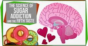 The Science of Sugar Addiction & The Fifth Taste