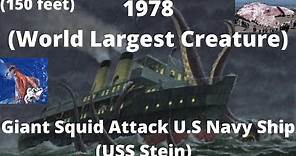 Giant Squid Attack U.S Navy Ship (USS Stein) | In 1978 World's largest Creature |