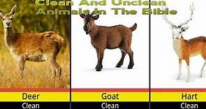 Clean And Unclean Animals Meat In Chritianity || Clean And Unclean Animals In Bible