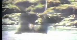 Sasquatch The Legend Of Bigfoot 1977 TV Trailer