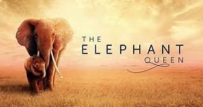 The Elephant Queen — Official Movie Trailer