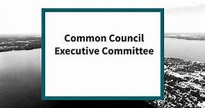 Common Council Executive Committee: Meeting of June 20 , 2023