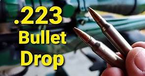 .223 Bullet Drop - Demonstrated and Explained
