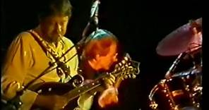 Fairport Convention : Angel Delight (live 1982)