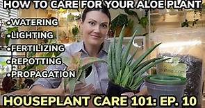 Houseplant Care 101: Aloe Vera Plant Care - Aloe Plant Watering, Feeding, Repotting & Propagation