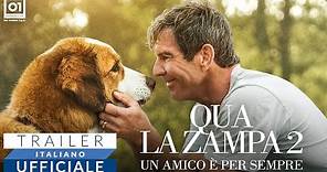 QUA LA ZAMPA 2 (2020) - Trailer Italiano HD