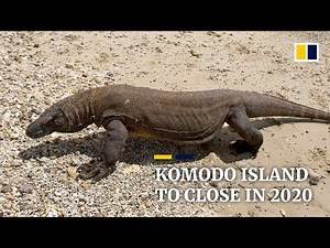 Land of the Komodo dragons to close in 2020 for rehabilitation