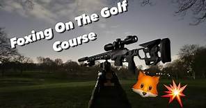 Quick Foxing On The Golf Course
