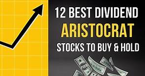 12 Best Dividend Aristocrat Stocks To Buy & Hold