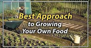 How to Start Growing Your Own Food | What to Focus on First