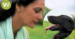 Animal communication - Understanding how animals think and feel