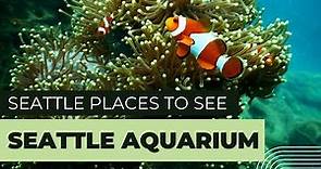Seattle Aquarium Tour