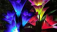 Solar Lights Outdoor - 2 Pack Solar Garden Lights with 8 Lily Flowers, Waterproof Color Changing Solar Landscape Lights, Outdoor Decoration Lights for Patio, Yard, Lawn, Pathway (Purple and Red)