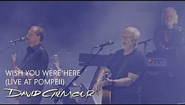 David Gilmour - Wish You Were Here (Live At Pompeii)