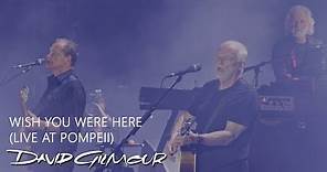 David Gilmour - Wish You Were Here (Live At Pompeii)