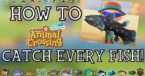 How To Catch Every Fish in Animal Crossing New Horizons - New Horizons Fishing Guide