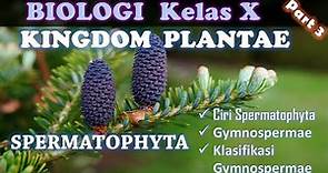 KINGDOM PLANTAE (Part 3) : Tumbuhan Berbiji (Spermatophyta) _ Biologi SMA Kelas X IPA