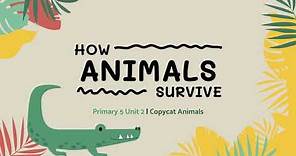 Copycat Animals | How Animals Survive