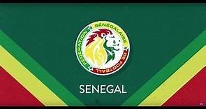 Selección Senegal: datos y estadísticas en la Copa Mundial FIFA 2018 | Gol Caracol