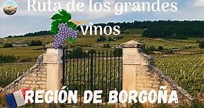 Ruta de los Grandes vinos de BORGOÑA. Guía de Francia #11