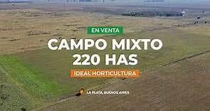 223 has Campo en venta, en La Plata - Ideal Tambo/ Desarrollo