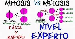 Diferencia Mitosis y Meiosis NIVEL EXPERTO en 2 minutos [Fácil y Rápido] | BIOLOGÍA |