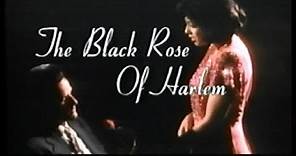 The Black Rose Of Harlem 1996 - Trailer