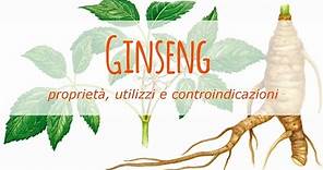 Ginseng: proprietà, utilizzi e controindicazioni