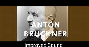 Anton Bruckner - a biography: his life and his places (200th Bruckner anniversary)