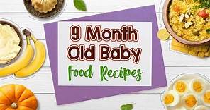 9 Month Old Baby Food Recipes