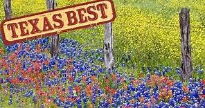 Texas Best - Wildflowers (Texas Country Reporter)