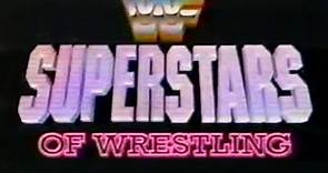 WWF Superstars of Wrestling - January 12, 1991