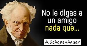 Citas de Schopenhauer que vale la pena escuchar | Citas, aforismos, pensamientos sabios.