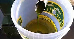 www.olivaservice.it - Produzione di olio di avocado a freddo