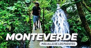 Monteverde Costa Rica: ¡Todos los detalles para conocerlo al máximo! (Travel to Monteverde)