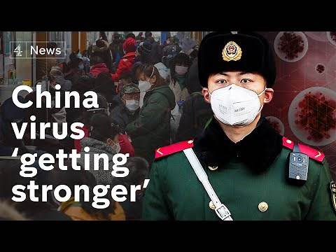 Virus Viral Coronavirus ability to spread ‘getting stronger’ says China
Corona Covid 19 arsip sumber internet by 08123453855 Pengacara
Balikpapan Samarinda