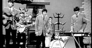 The Animals - It's My Life (Live, 1965) UPGRADE ♫♥