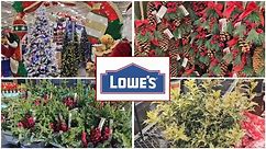 Lowes November 2023. Holiday Planters, Amaryllis, Shrubs, Trees, & Holiday Decor. Plant Shopping