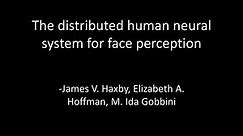 PPT - The distributed human neural system for face perception PowerPoint Presentation - ID:6179734