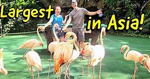 This park is for the BIRDS (literally): Jurong Bird Park!